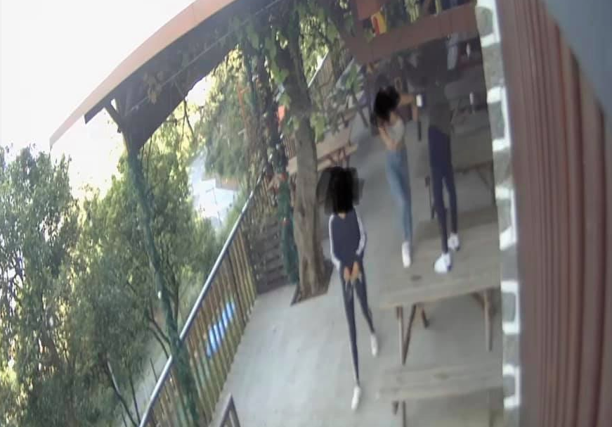 Parque Aventura de Braga vandalizado por jovens