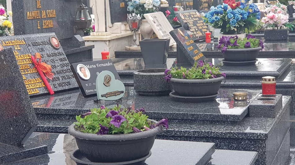 Junta de Palmeira decora campas do cemitério com 400 vasos de flores e círios