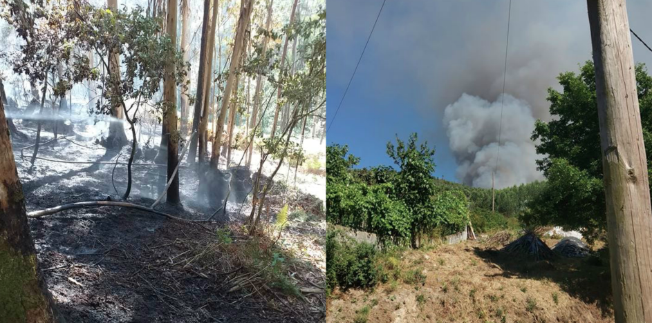 Incêndios deflagraram hoje em várias freguesias de Braga