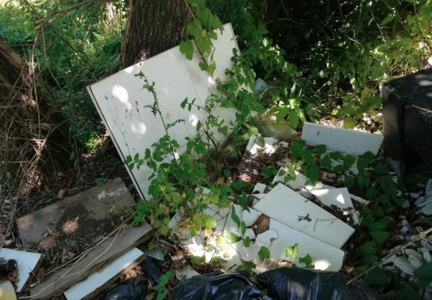 Freguesia de Nogueira em Braga com lixeiras a céu aberto