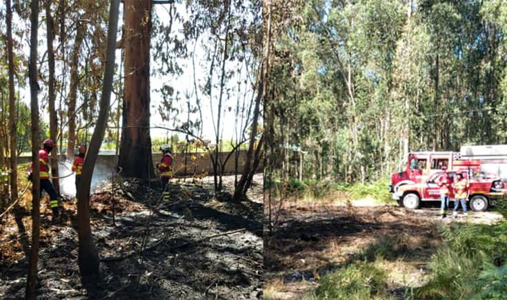 Bombeiros Voluntários de Braga apagam incêndio em Sobreposta