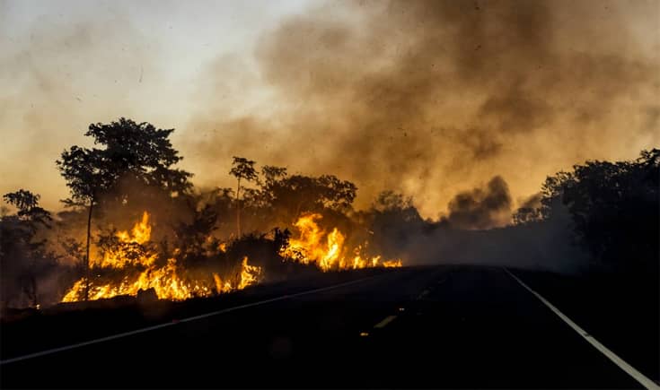 Homem de 71 anos detido por incêndio florestal em Vieira do Minho