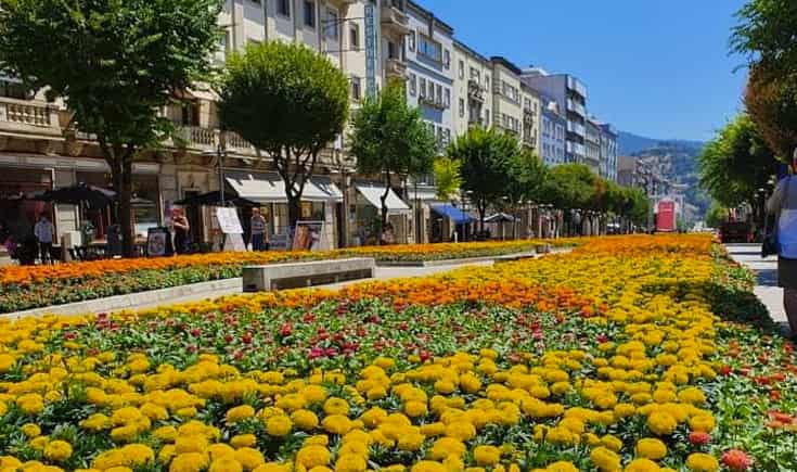 Braga celebra o verão com jardins coloridos