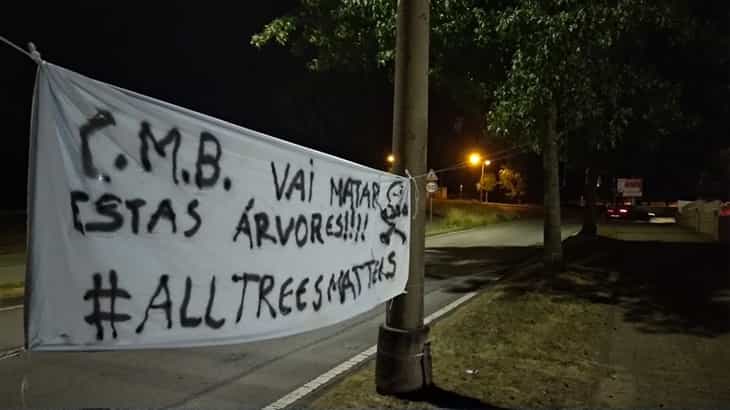 Grupo de cidadãos vai manifestar-se em silêncio contra o abate de árvores em Braga