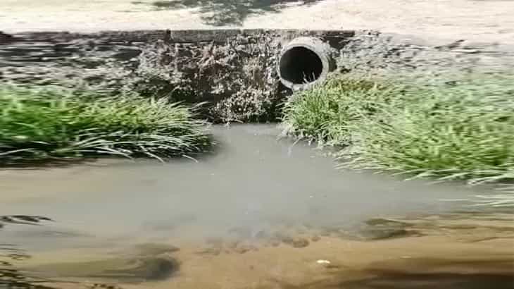 Rio Este em Braga alvo de nova descarga ilegal