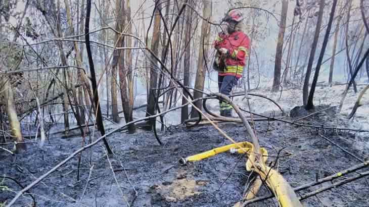 Bombeiros controlam incêndio na União de Freguesias de Arentim e Cunha