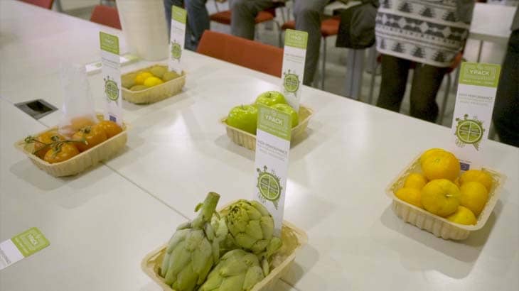 Universidade do Minho cria embalagens biodegradáveis à base de desperdícios alimentares