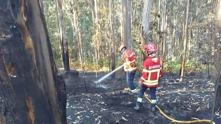 Fim de semana com risco máximo de incêndio em Braga