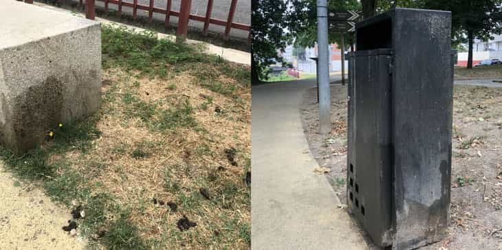 Parque Desportivo da Rodovia em Braga sujo de dejetos e urina de cão