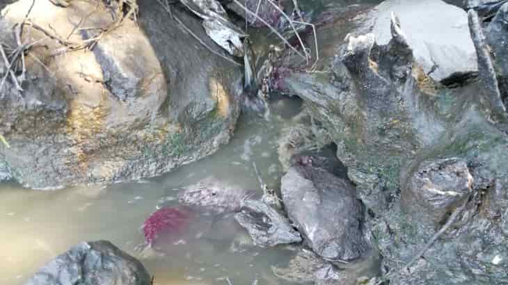 PAN questiona Águas de Barcelos sobre descargas no Rio Cávado