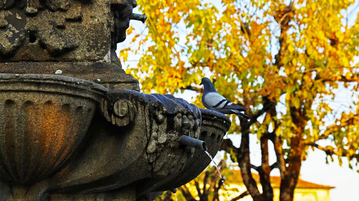 Fontanários de Braga são tema do Concurso Municipal de Fotografia