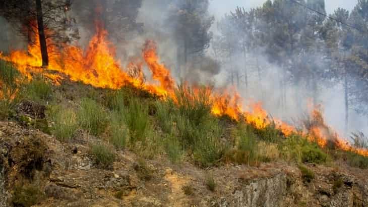 Bombeiros e meio aéreo combatem incêndio em Braga