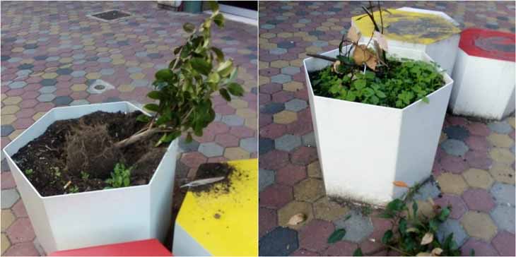 Moradores revoltados com barulho e vandalismo junto à Universidade do Minho