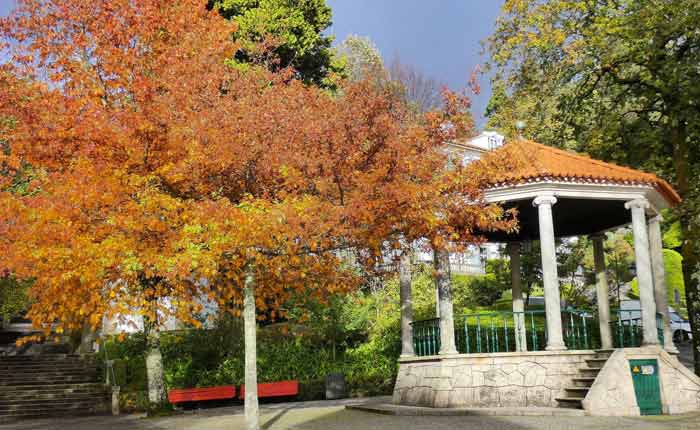 As belas cores do outono registadas no Bom Jesus de Braga
