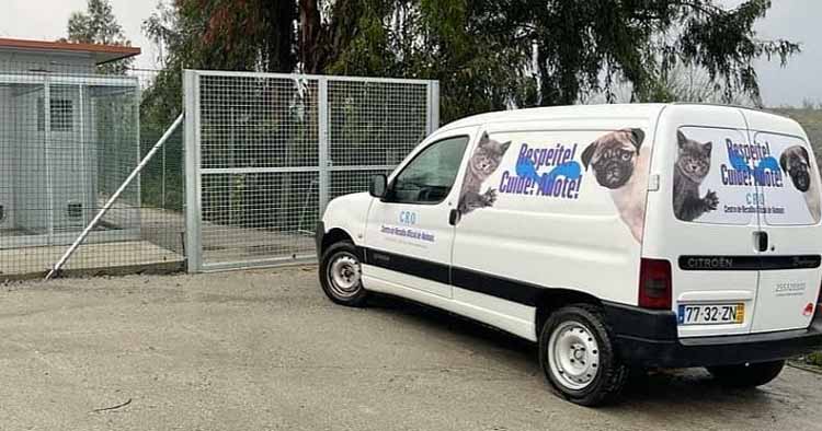 Celorico de Basto inaugura Centro de Recolha Oficial de Animais