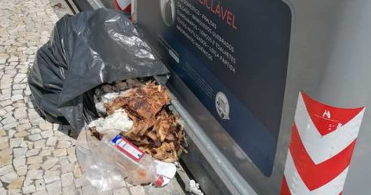Frangos assados encontrados no lixo em Braga
