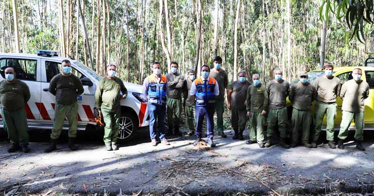 Vizela assegura limpeza dos terrenos com Sapadores Florestais