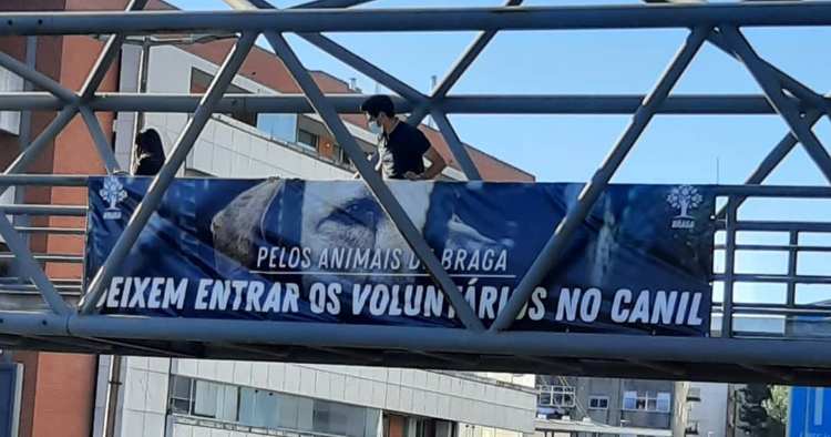 PAN faz apelo à Câmara de Braga para deixar entrar voluntários no Canil Municipal
