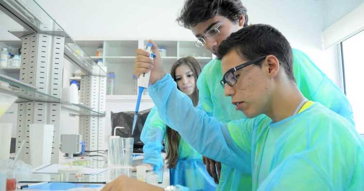 “Verão no Campus” da Universidade do Minho recebe 140 alunos do secundário