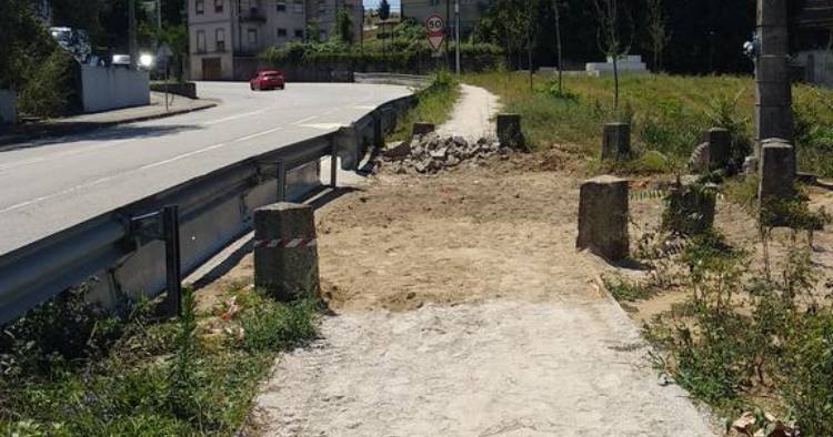 Braga: Árvores do novo Parque das Camélias estão a morrer
