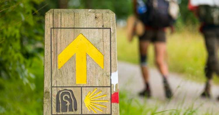 Homem detido em Barcelos por "importunação sexual" a peregrinos nos Caminhos de Santiago