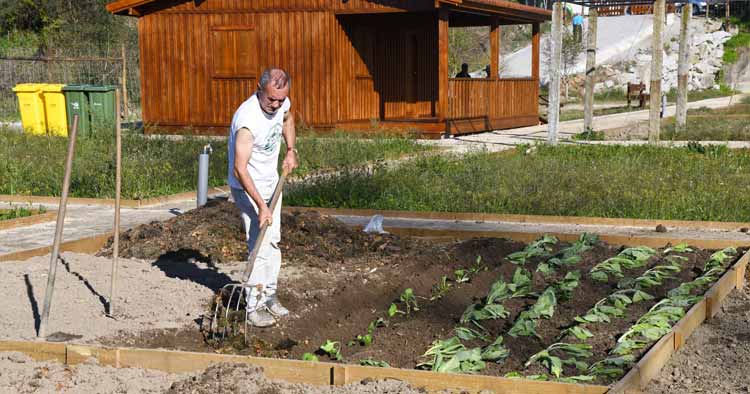 170 hortelãos já cultivam nas novas Hortas Urbanas de Famalicão