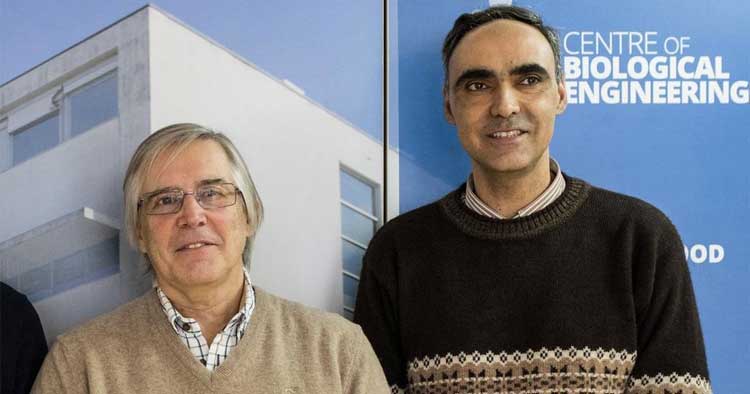 Dois dos cientistas mais citados no mundo são da Universidade do Minho
