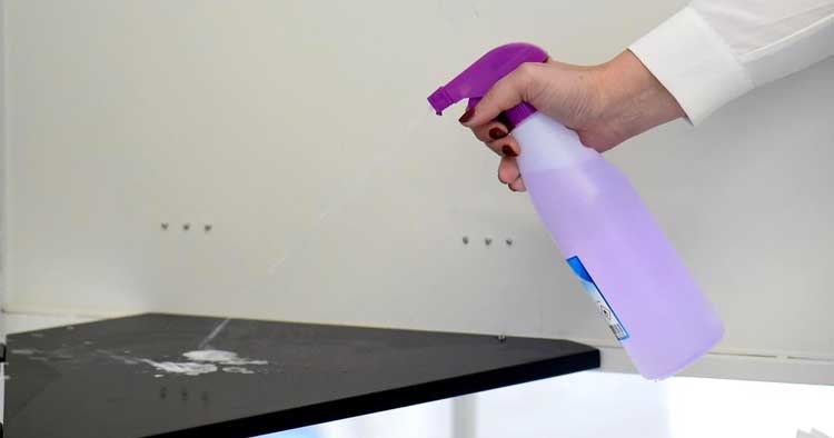 Câmara de Braga e Juntas de Freguesia garantem cumprimento das medidas sanitárias nas mesas de voto