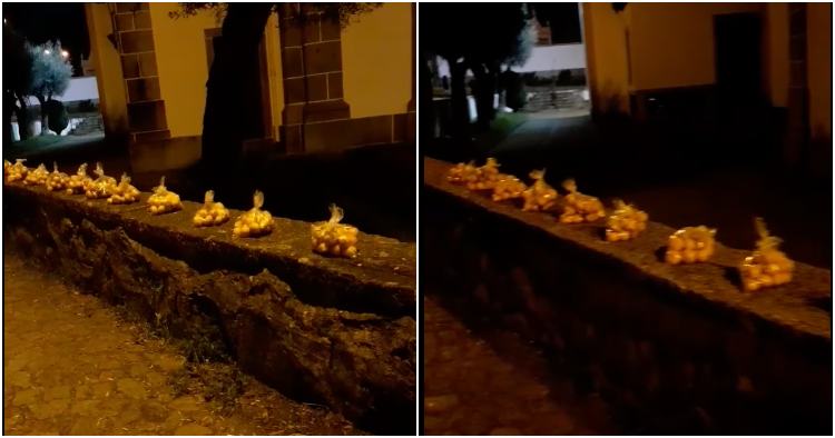 Associação de Braga coloca sacos de fruta no adro da Igreja para quem precisa