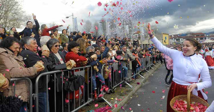 Festa das Camélias está de regresso a Celorico de Basto
