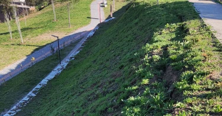 SOS Árvores Braga pede encerramento do Parque das Camélias por falta de segurança