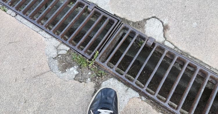 SOS Árvores Braga pede encerramento do Parque das Camélias por falta de segurança