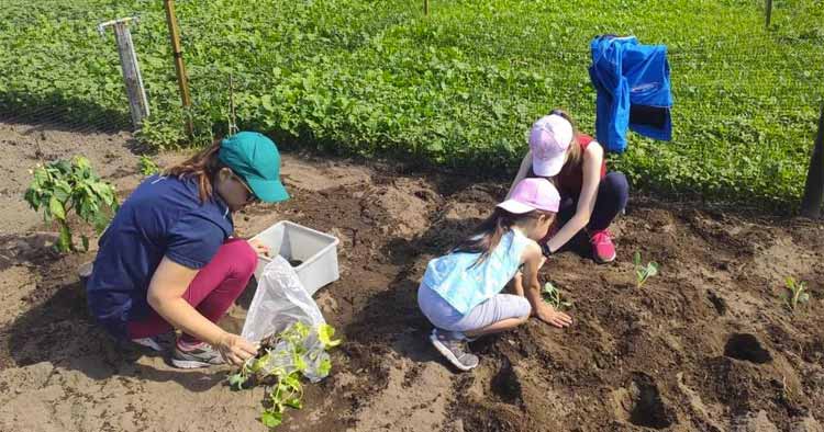 Famílias começam a cultivar Hortas Comunitárias na Póvoa de Lanhoso