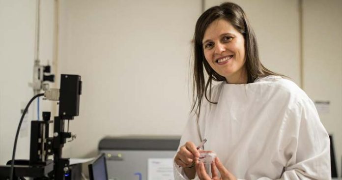 filipa-fernandes