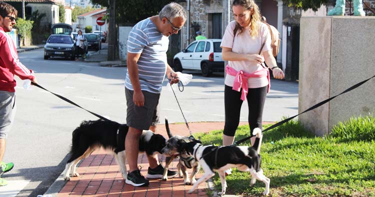 Braga: Cãominhada de Ferreiros e Gondizalves sensibilizou para a limpeza dos jardins e vacinação dos animais