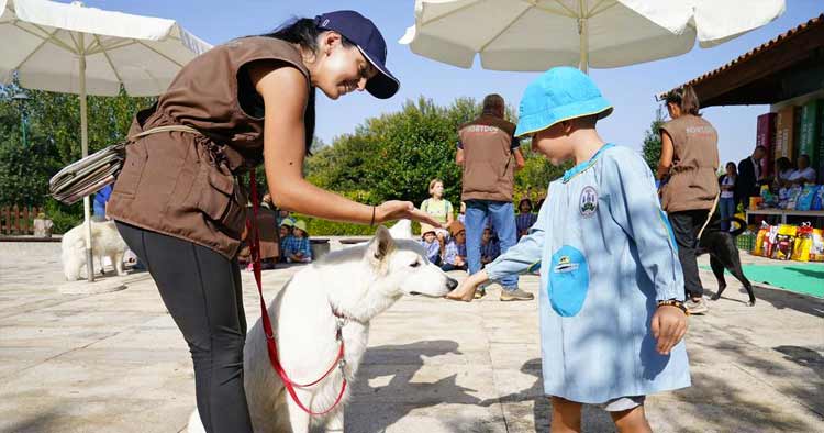 Quinta Pedagógica de Braga cria banco alimentar animal