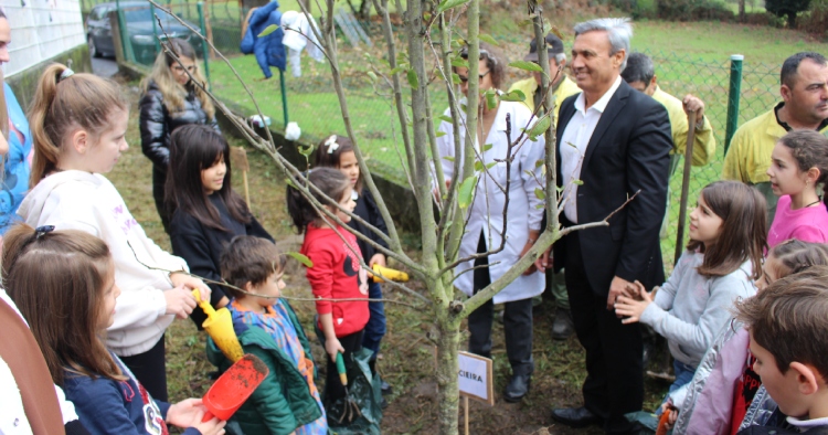 Vieira do Minho assinalou Dia da Floresta Autóctone com plantação de árvores