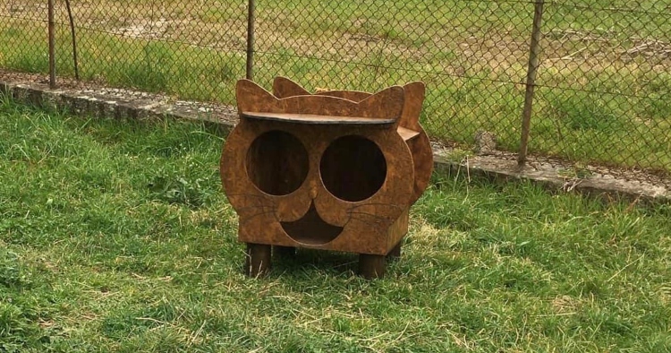 Casa de abrigo para gatos furtada em Braga