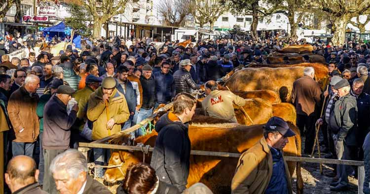 Feira dos Vinte está de volta a Vila de Prado. Tradição com mais de 700 anos.