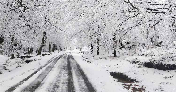 Chuva, vento e neve colocam Braga em alerta amarelo