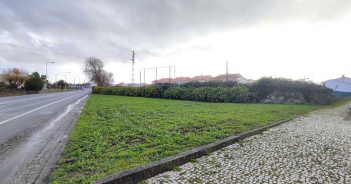 souto-citadino