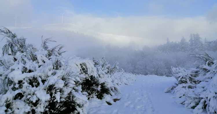 Neve deixou Serra da Cabreira em Vieira do Minho com cenário digno de postal