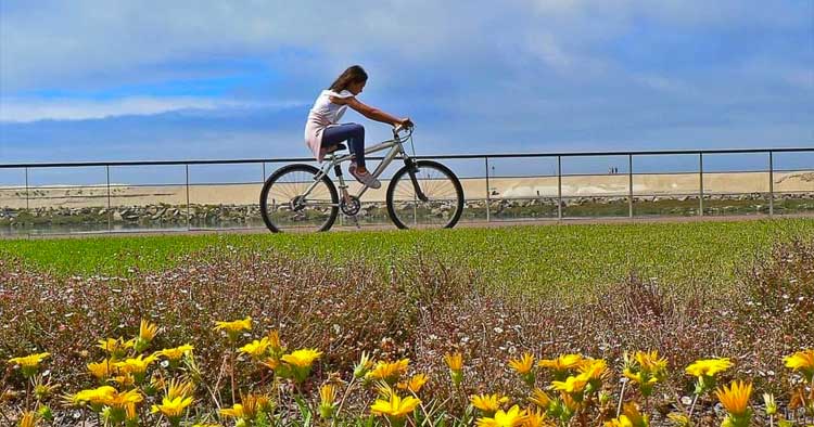 Sexta-feira será o dia mais quente com 24 graus para Braga