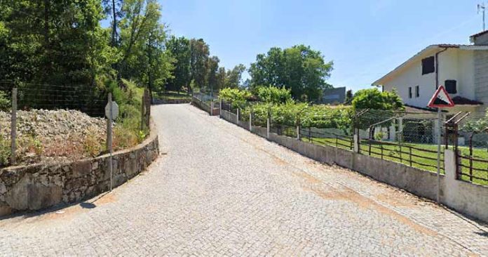 travessa-eira-palmeira