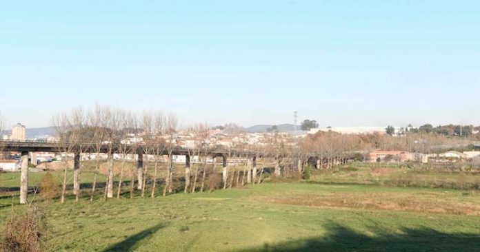 parque-verde