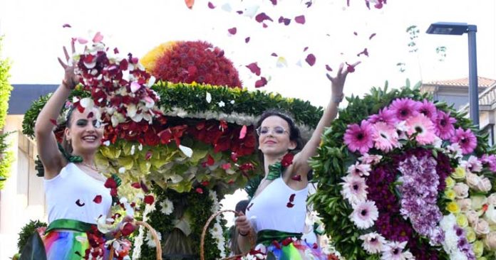 festa-da-flor