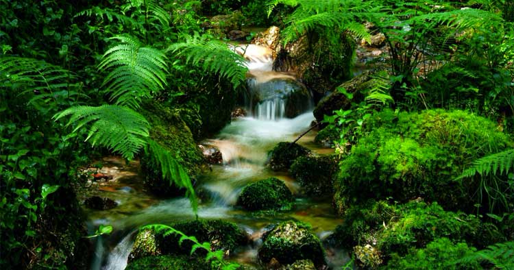 Nova Arcada em Braga recebe exposição inédita do Parque Nacional da Peneda-Gerês