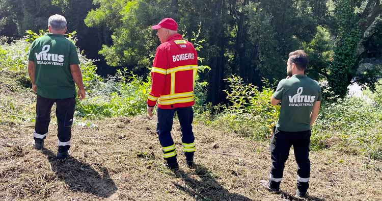 VITRUS assume limpeza dos principais caminhos florestais de Guimarães