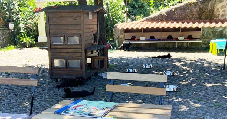 Braga: Jardim urbano de São Victor convida à leitura nas tardes de verão