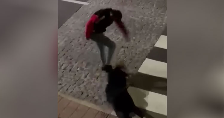 Homem é filmado a pontapear mulher na cabeça